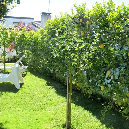 Lopes By Interhome *